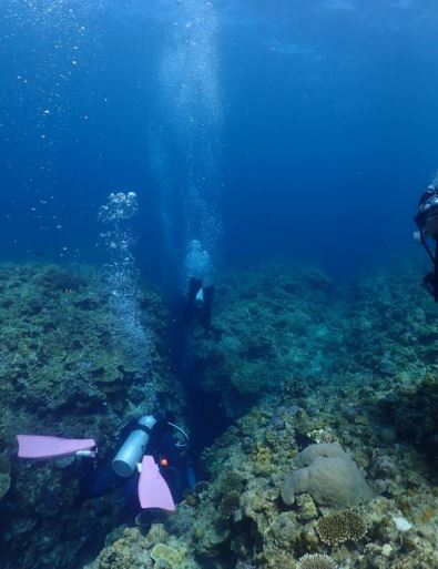 太平洋潛水(PACIFIC DIVING CLUB) 