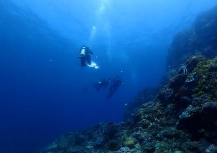 台中潛水 (TAICHUNG DIVING CENTER) 