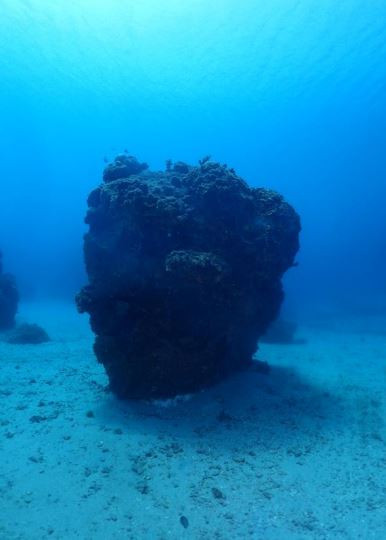 鬥陣潛水－水立方運動管理顧問有限公司