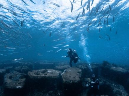 潛水蟲潛水訓練中心(Diving Bug Diving) 