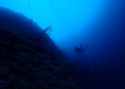 鳳凰潛水有限公司(PHOENIX DIVING) 