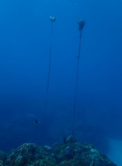 黑潮潛水訓練中心(Kuroshio Diving Center) 