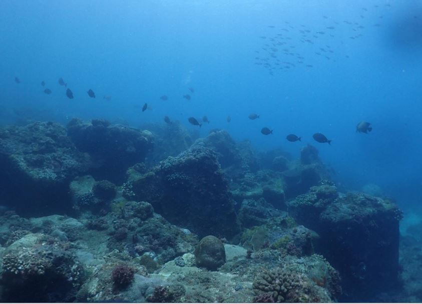 藍色海灣(Blue Bay Dive Center) 