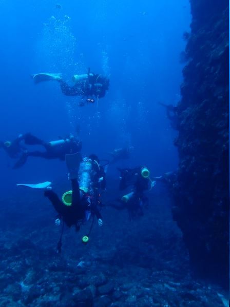 帛琉潛水(iPalau Dive Center) 